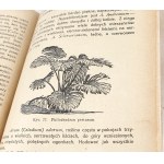 JANKOWSKI—THE COUNTRY GARDEN, published in 1928.