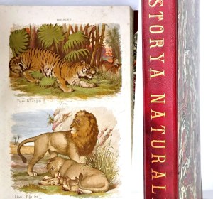 HAYEK- WIELKI ATLAS DO ZOOLOGII, BOTANIKI I MINERALOGII wyd.1887