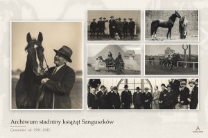 [SANGUSZKO Roman - ZIĘTARSKI Bogdan - GUMNISKA] Wyjątkowe archiwum stadniny koni arabskich książąt Sanguszków. 1000 fotografii, album, rękopisy i dokumenty. [ok. 1901-1945].
