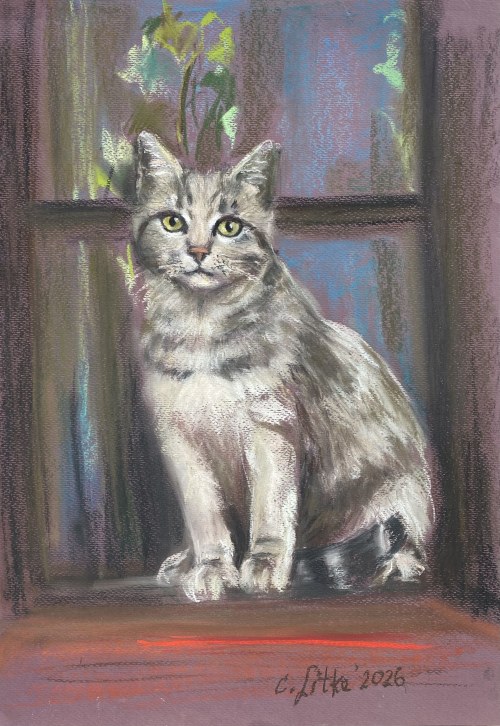 Celina REISS-LITKE (ur. 1950), Kotek, 2026