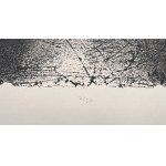 Artur ZAWADZKI (b. 1964), *Light of the Mountain*, 2026