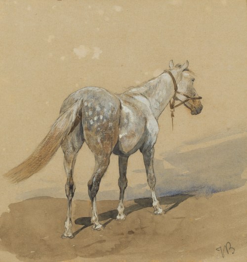 Józef Brandt (1841 Szczebrzeszyn - 1915 Radom), 