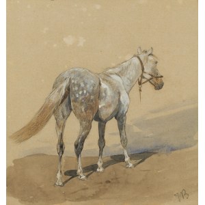 Józef Brandt (1841, Szczebrzeszyn – 1915, Radom), Siwek, circa 1882