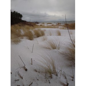 Barbara Badera, Spiaggia di gennaio 2, 2025/2026