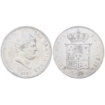 Žiūrėti panašius