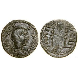 Provincial Roman, bronze, (268–270)