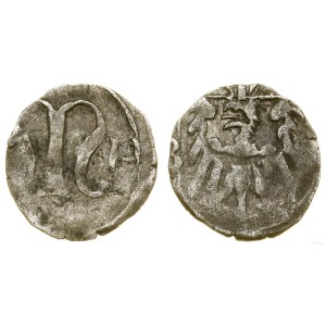 Slezsko, halerz (1483–1488), Kożuchów