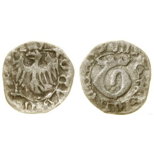 Śląsk, halerz, (1498-1505 lub dłużej, najpóźniej 1511), Cieszyn