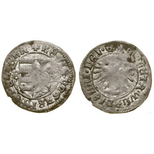 Polsko, denár (cca 1444)
