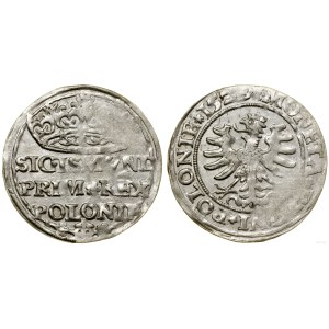 Polsko, groš, 1529, Krakov