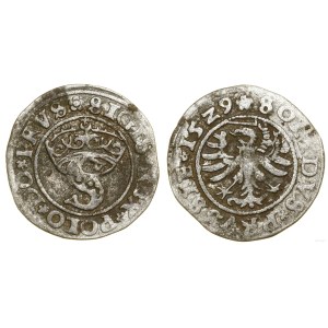 Poland, szeląg, 1529, Toruń