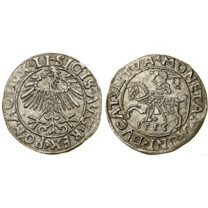 Polsko, půlgroš, 1556, Vilnius