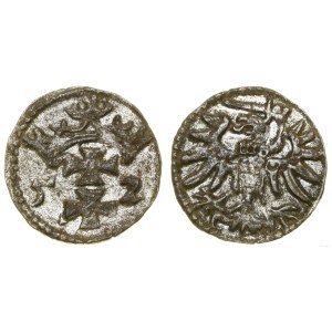 Polska, denar, 1552, Gdańsk