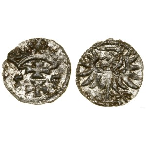 Polska, denar, 1555, Gdańsk