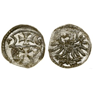Polska, denar, 1555, Elbląg