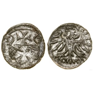 Polska, denar, 1557, Elbląg