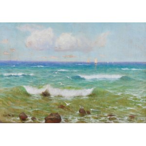 Roman Bratkowski, Piękne morze, mewy