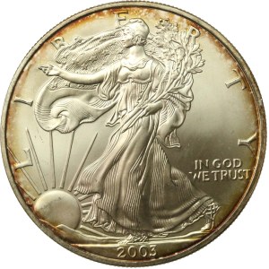 USA, 1 Dollar 2003 - American Eagle, 1 oz. Ag 999 (173)