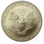 USA, 1 Dollar 2003 - American Eagle, 1 oz. Ag 999 (173)