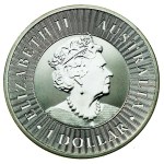 Australia, Elizabeth II, 1 Dollar 2022 - Kangaroo, 1 oz. Ag 999 (308)