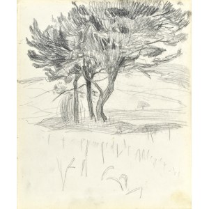 Stanisław KAMOCKI (1875-1944), Drzewa w polu, V 1903