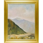 Irena WEISS - ANERI (1888–1981), Mountain Landscape - Szczawnica, 1960