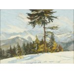 Franciszek Wójcik (1903-1984), Widok z Antałówki, 1942