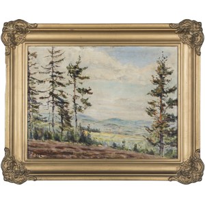 Stanisław Pizl (1896–1968), Landschaft