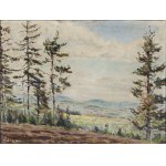 Stanisław Pizl (1896–1968), Landschaft