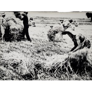 Mario Giacomelli, Mario Giacomelli (1925 - 2000) - Histoires de terre, 1955/1980