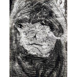 Mario Giacomelli, Mario Giacomelli (1925–2000) — Motif Inspired by the Tree’s Shape, 1967/1969