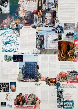 Peter Beard, Peter Beard (1938 - 2020) - The end of the game, 1997