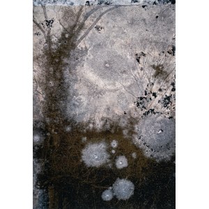 Joan Fontcuberta, Joan Fontcuberta (1955) - Trauma #9178, 2022