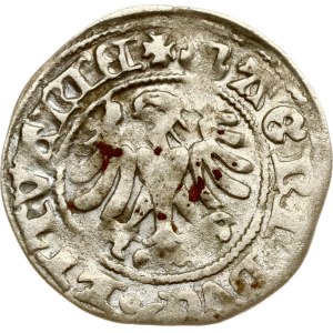 Lithuania Polgrosz ND (1492-1506) Vilnius