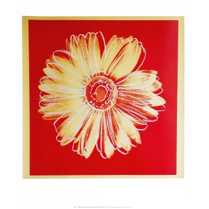 Andy Warhol (1928–1987), *Daisy* (daisy) from the floral series