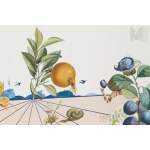 Salvador DALI (1904–1989), Flordali I, Lily musicale et compagnie, 1981