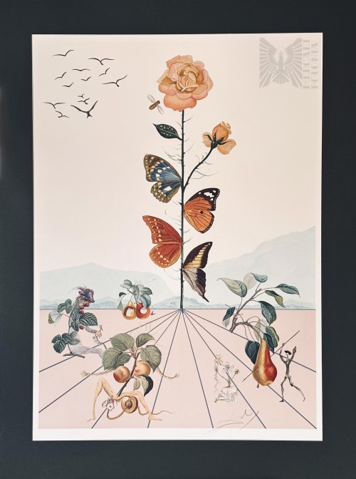 Salvador DALI (1904-1989), 