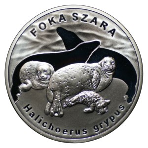 20 złotych 2007, Foka szara