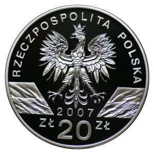 20 złotych 2007, Foka szara