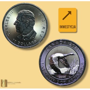 Kanada, 10 dolarów 2025, Gęś Kanadyjska, 2 uncje czystego srebra