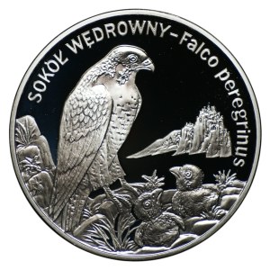20 zlotych, 2008, Peregrine Falcon