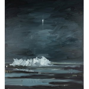 The Krasnals (founded in 2008), The Universe Is Beautiful. Falcon 9, 2020