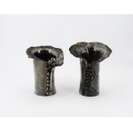 A pair of small vases with spherical fruits