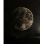 Monika Libelula, Logged Out, Part 4