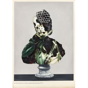Ewa Juszkiewicz (b. 1984), Untitled 49, 2017