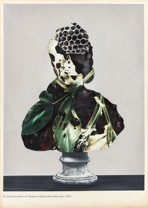 Ewa Juszkiewicz (ur. 1984), Untitled 49, 2017