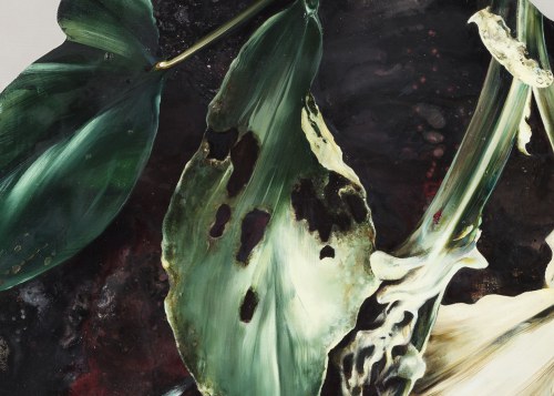 Ewa Juszkiewicz (ur. 1984), Untitled 49, 2017