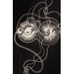 Dobrawa Borkała (b. 1990, New York), Oneness, 2018