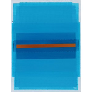 Monika Dalek, Crossing the boundary of turquoise autonomy, 2019