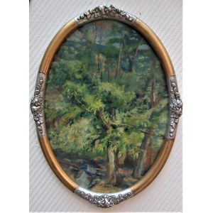 Forest Stream